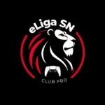 eLiga SN